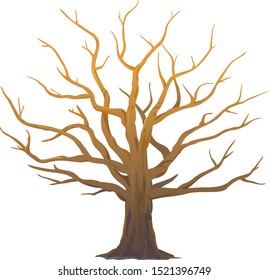 One Wide Massive Old Oak Tree Without Leaves Isolated Illustration, Majestic Oak Without Foliage With A Rough Trunk And Big Crown