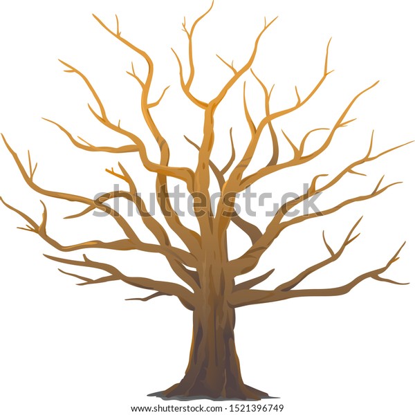 One Wide Massive Old Oak Tree Stock Vector Royalty Free Shutterstock