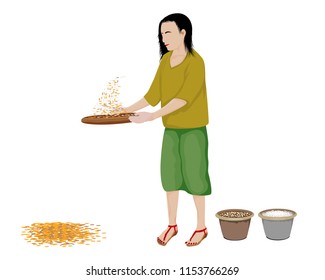 one woman cartoon shape winnow rice vector design