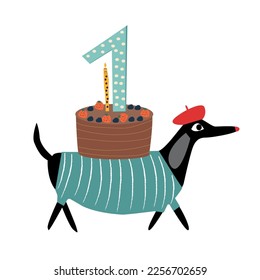 One year old funny greeting card. Vector illustration of a dachshund dog walking with a birthday cake. Vector illustration.