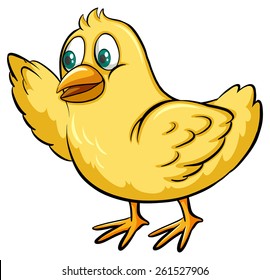 One yellow chick on a white background