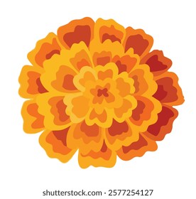 One yellow orange marigold. Floral decoration for Indian floral festive garland toran. Zendu flower isolated on background. Diwali, Halloween Dia de los Muertos holiday celebration. Vector 