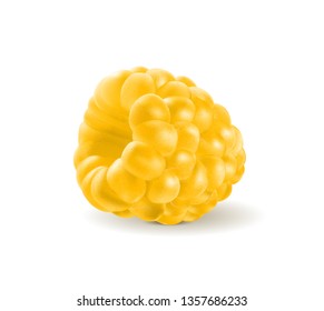 One yellow raspberry berry fruit isolated on white background. Quality realistic vector, 3d