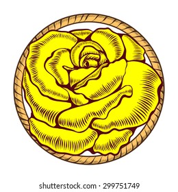 One yellow rose in circle of ropes.White background.
