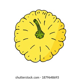 One yellow squash in doodle style isolated on white background. Vector illustration, hand-drawing. Vegetable for a healthy diet.