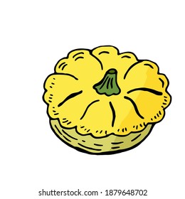 One yellow squash in doodle style isolated on white background. Vector illustration, hand-drawing. Vegetable for a healthy diet.