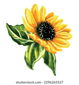 One yellow sunflower. EPS floral botanical illustration.
