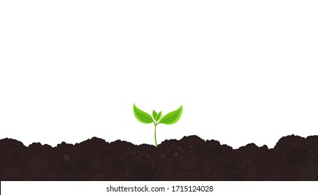 One Young Plant Shoot. Seedling Germination. Sprout On The Soil. Plants Growing In The Ground. Agricultural Spring Field. Vector. Copy Space.