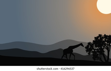 One zebra silhouette in hills with gray background 