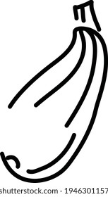 One zucchini, illustration, vector on a white background
