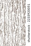 One-color vector background with the texture of an old hemlock tree bark