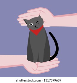 One-eyed cute cat is disabled. Caring for a cat. Hands around the cat. Vector flat cartoon illustration. On blue background.