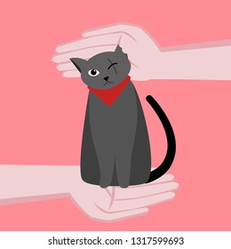 One-eyed cute cat is disabled. Caring for a cat. Hands around the cat. Vector flat cartoon illustration. On coral background.
