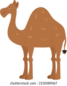 One-humped African camel. Dromedary Vector cartoon illustration in a naive flat style