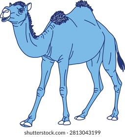 A one-humped camel standing straight side view, blue concept line illustration