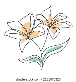 Oneline Lily Sketch Lineart Style On Stock Vector (Royalty Free ...