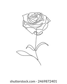 one-line rose vector art, icons, and graphics involves drawing the rose with a single continuous line