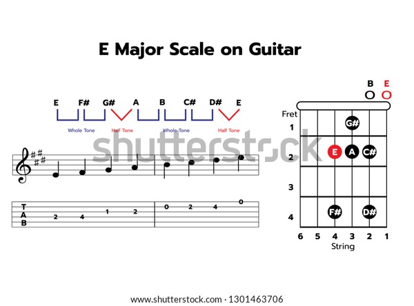 Oneoctave E Major Scale On Guitar Stock Vector Royalty Free