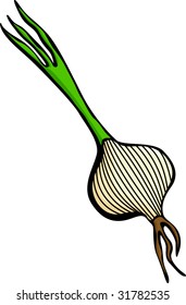 onion