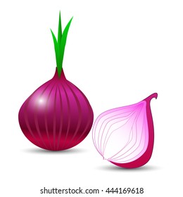 Onion