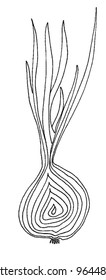 onion