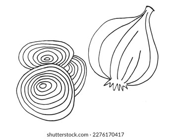 Onion black outline illustration vector image. Hand drawn sketch image artwork. Simple original logo icon from pen drawing sketch.