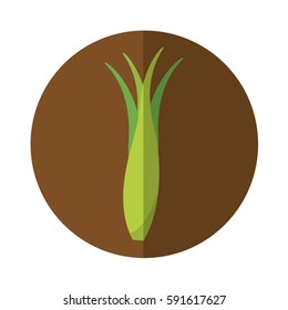 onion branch fresh vegetable isolated icon
