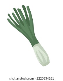 onion branch vegetable healthy food