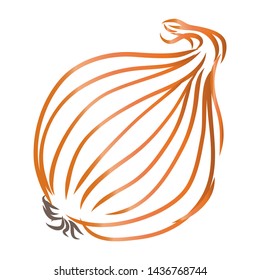 Onion bulb contour vector illustration 