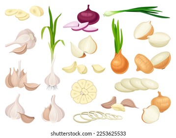 Onion Bulb with Green Stalk and Garlic Big Vector Set