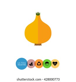 Onion bulb icon