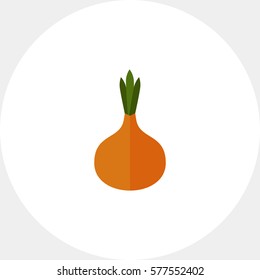 Onion bulb icon