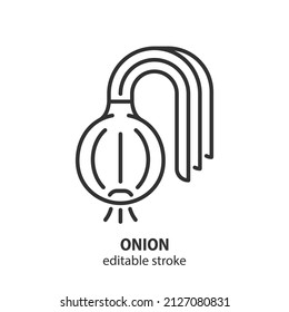 Icono de la línea de la bombilla de cebolla. Signo vectorial vegetal. Trazo editable.
