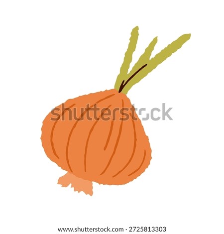 Onion bulb, natural pungent vegetable. Whole unpeeled veggie root with green top. Fresh vitamin food ingredient for cooking. Spicy seasoning. Flat vector illustration isolated on white background