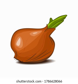 Bombilla de cebolla sobre fondo blanco.
