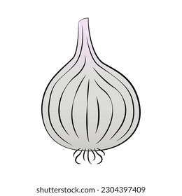 Onion bulb on white background