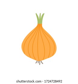 Onion bulb vector illustration icon. Yellow, white onion vegetable. Isolated.