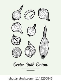 Onion bulb vector set. Vegetarian poster, banner, logo, icons, sticker, menu, shop, restaurant, label template. Food line hand drawn illustration. Onion black and white sketch isolated vegetables.
