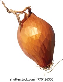 Onion, bulbous, polygonal