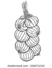 Onion bunch line icon vector illustration. Hand drawn outline braid of healthy shallot bulbs hanging on string in kitchen, plait bundle of onion whole heads with rope knot, natural harvest storage