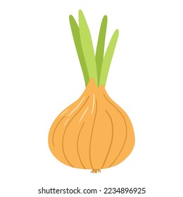 Onion in cartoon flat style. Hand drawn vector illustration of onion fresh vegetable.