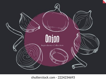 Onion, Chalk sketches, Ingredient Collection