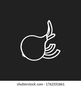 Onion chalk white icon on black background. Fresh ripe vegetable with cut slices. Whole veggie for vitality and nourishment. Raw bulb for cooking. Isolated vector chalkboard illustration