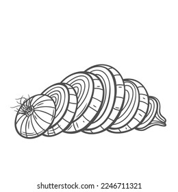 Onion circle slices line icon vector illustration. Hand drawn outline peeled fresh onion with roots cut into round sections, chopped spice raw vegetable for eating, flavoring and seasoning veg food