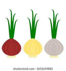 Ilustração vetorial de clip art de cebola para educação agrícola ou explicação para ilustração imprimível de crianças. Cebola vermelha, cebola branca, cebola dourada clip art estilo cartoon
