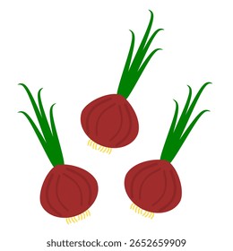 Ilustração vetorial de clip art de cebola para educação agrícola ou explicação para ilustração imprimível de crianças. Um objeto de trio de cebola vermelha estilo de desenho animado clip art