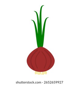 Ilustração vetorial de clip art de cebola para educação agrícola ou explicação para ilustração imprimível de crianças. Um único objeto de estilo de desenho animado de clip-art de cebola vermelha