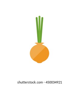 Onion closeup. Onion flat icon isolate on white background. Vector graphics