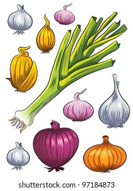 Onion Collection