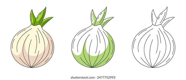 Onion, colorful and line icons set. Farm vegetable vector outline icon, monochrome and color illustration. Healthy nutrition, organic food, vegetarian product. For logo, coloring book